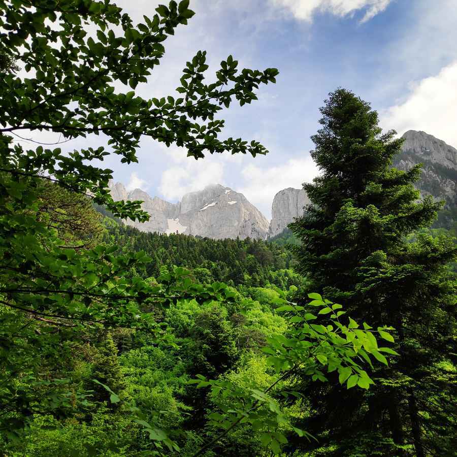 Mount_Tymfi_Pindos_North_Side_Thru-Hike_Part1_Konitsa_Moni_Stomiou_Sadi_Mygas_161550_391