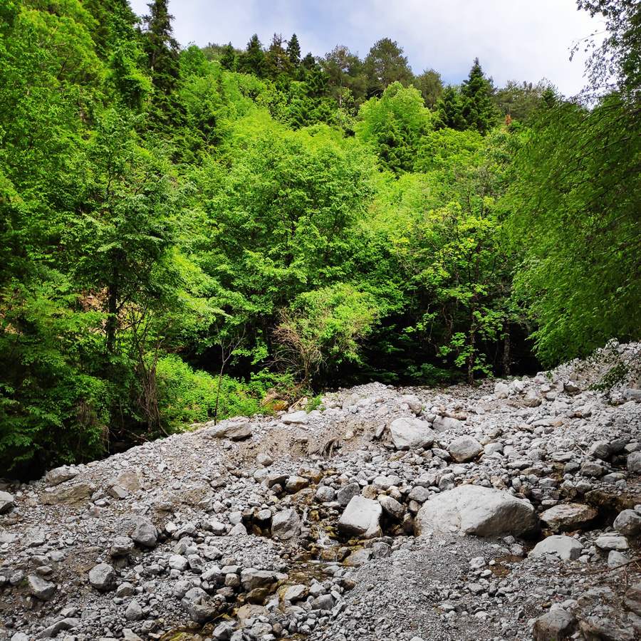 Mount_Tymfi_Pindos_North_Side_Thru-Hike_Part1_Konitsa_Moni_Stomiou_Sadi_Mygas_161646_900