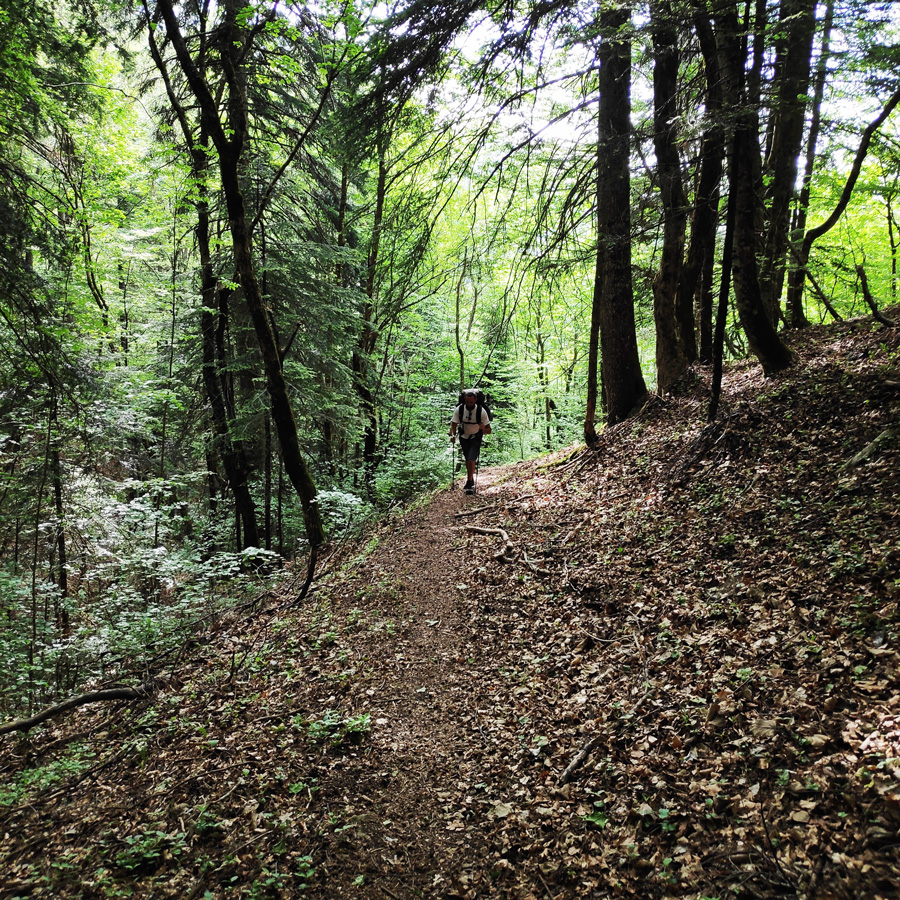 Mount_Tymfi_Pindos_North_Side_Thru-Hike_Part1_Konitsa_Moni_Stomiou_Sadi_Mygas_161722_522