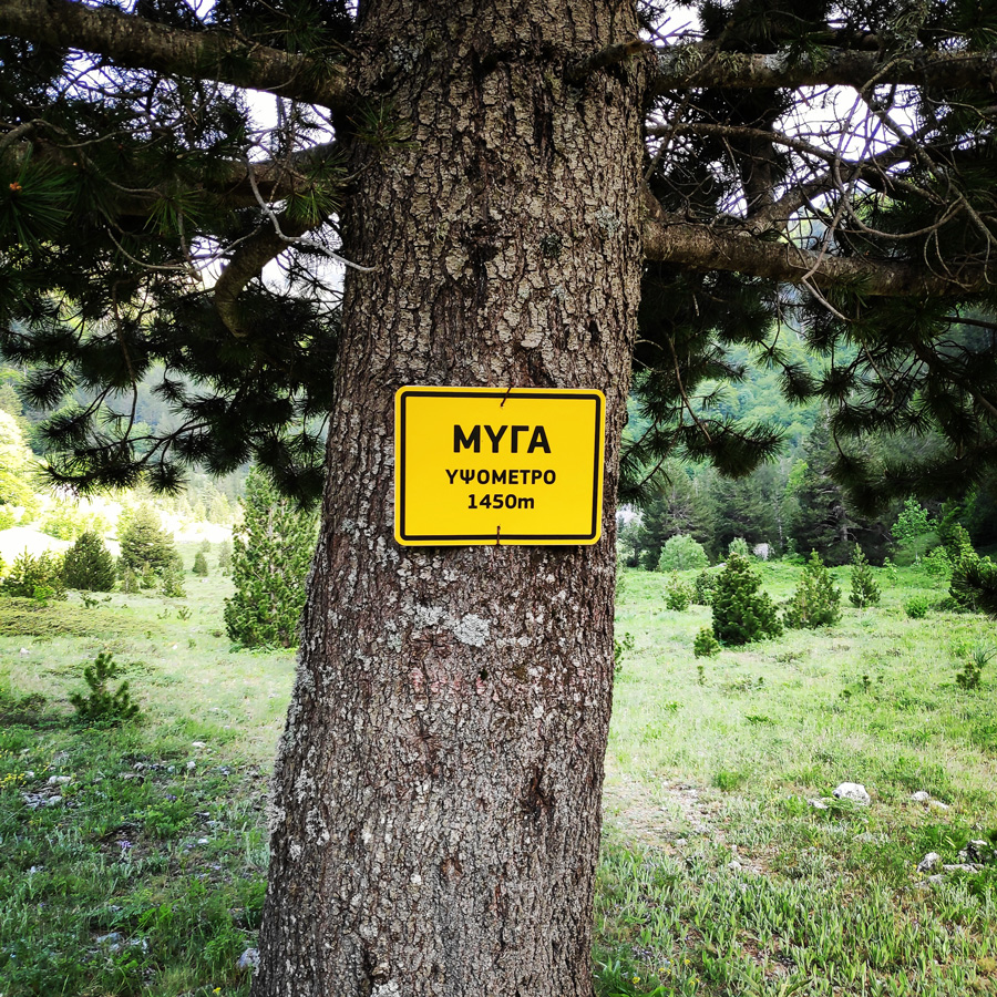 Mount_Tymfi_Pindos_North_Side_Thru-Hike_Part1_Konitsa_Moni_Stomiou_Sadi_Mygas_161814_446