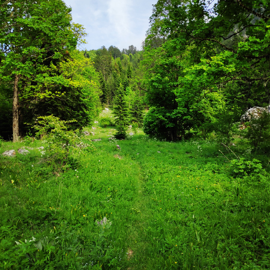 Mount_Tymfi_Pindos_North_Side_Thru-Hike_Part1_Konitsa_Moni_Stomiou_Sadi_Mygas_162039_157