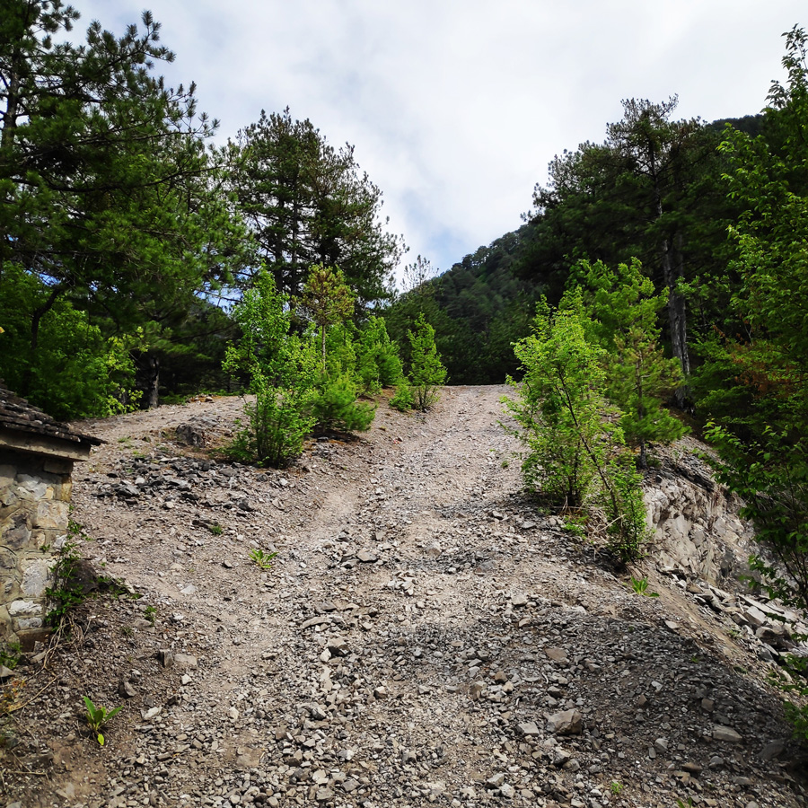 Mount_Tymfi_Pindos_North_Side_Thru-Hike_Part1_Konitsa_Moni_Stomiou_Sadi_Mygas_162256_929