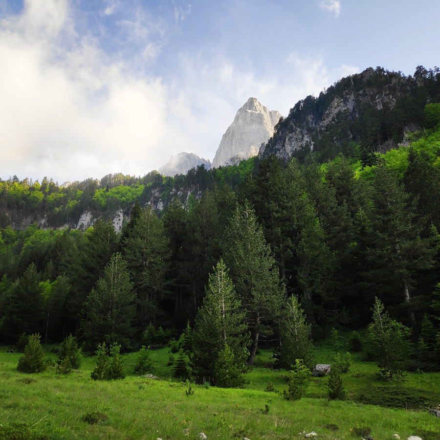 Mount_Tymfi_Pindos_North_Side_Thru-Hike_Part1_Konitsa_Moni_Stomiou_Sadi_Mygas_162335_373