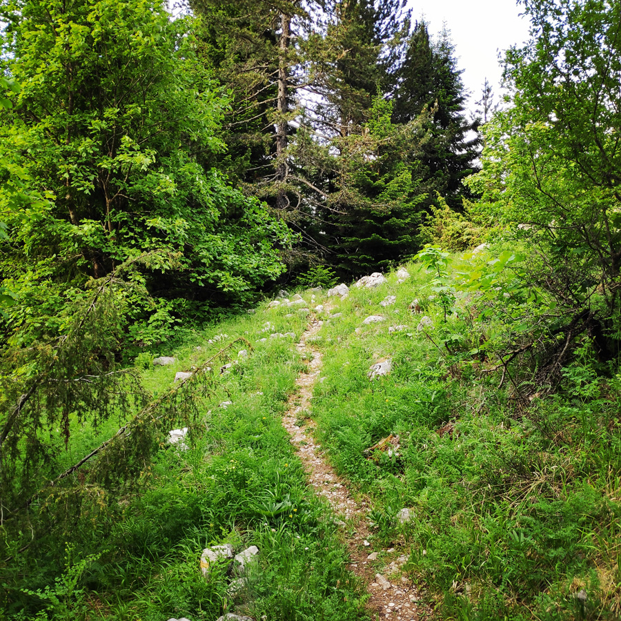 Mount_Tymfi_Pindos_North_Side_Thru-Hike_Part1_Konitsa_Moni_Stomiou_Sadi_Mygas_162543_535