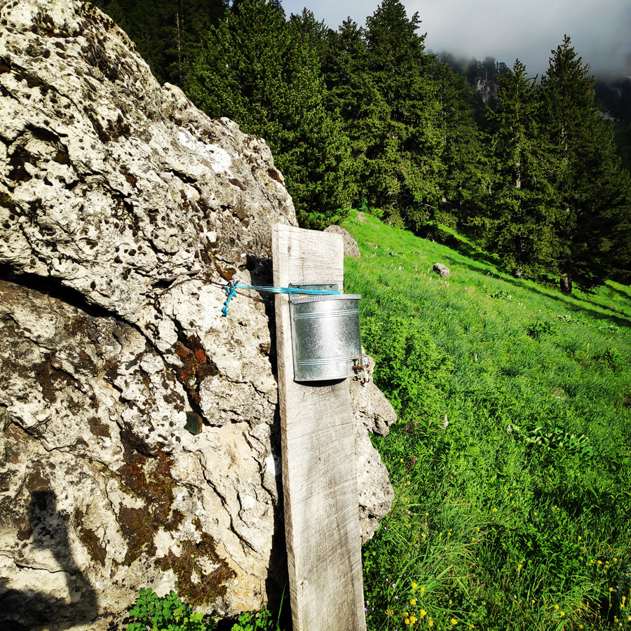 Mount_Tymfi_Pindos_North_Side_Thru-Hike_Part1_Konitsa_Moni_Stomiou_Sadi_Mygas_162610_177