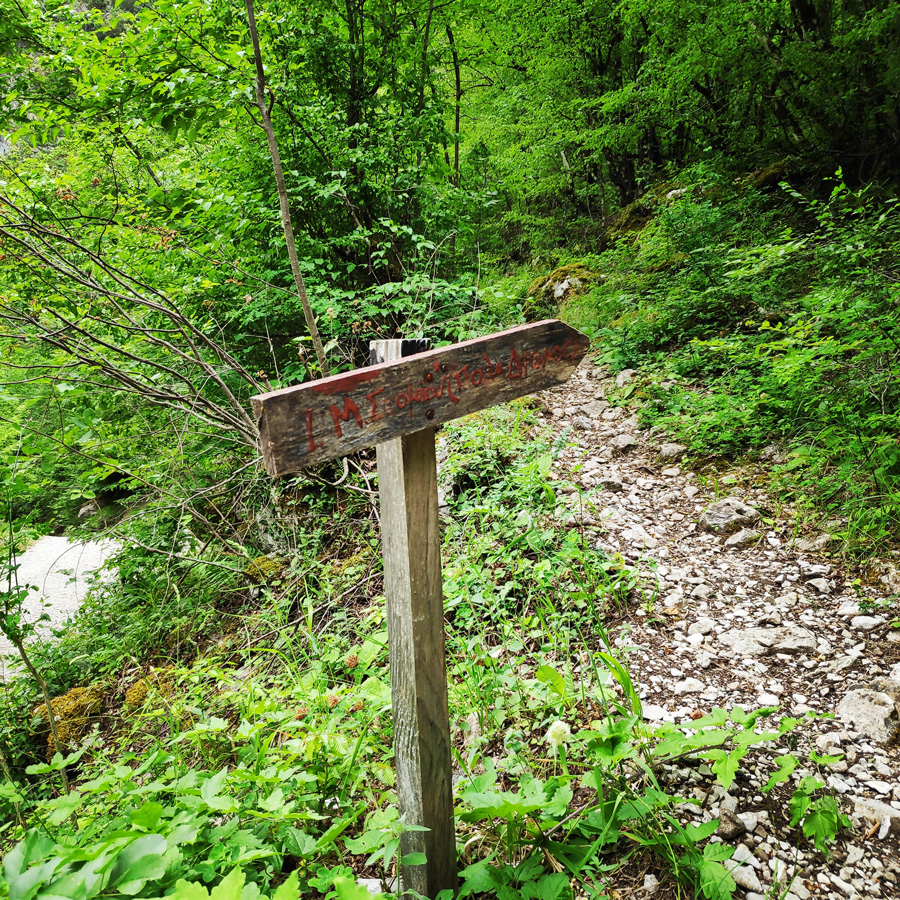 Mount_Tymfi_Pindos_North_Side_Thru-Hike_Part1_Konitsa_Moni_Stomiou_Sadi_Mygas_163359_865