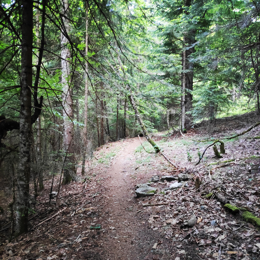 Mount_Tymfi_Pindos_North_Side_Thru-Hike_Part1_Konitsa_Moni_Stomiou_Sadi_Mygas_164905_776