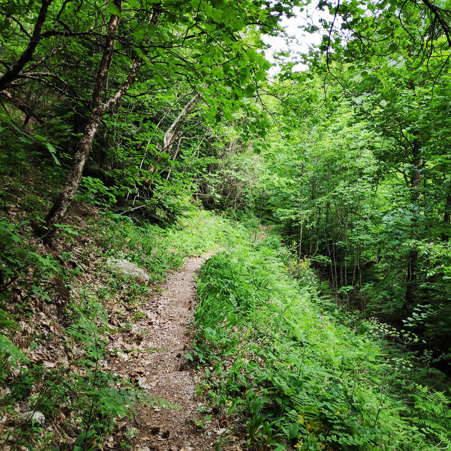 Mount_Tymfi_Pindos_North_Side_Thru-Hike_Part1_Konitsa_Moni_Stomiou_Sadi_Mygas_165223_223