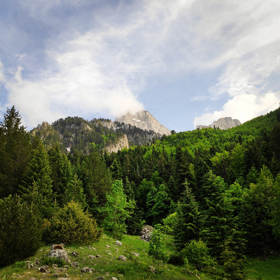 Mount_Tymfi_Pindos_North_Side_Thru-Hike_Part1_Konitsa_Moni_Stomiou_Sadi_Mygas_165353_642