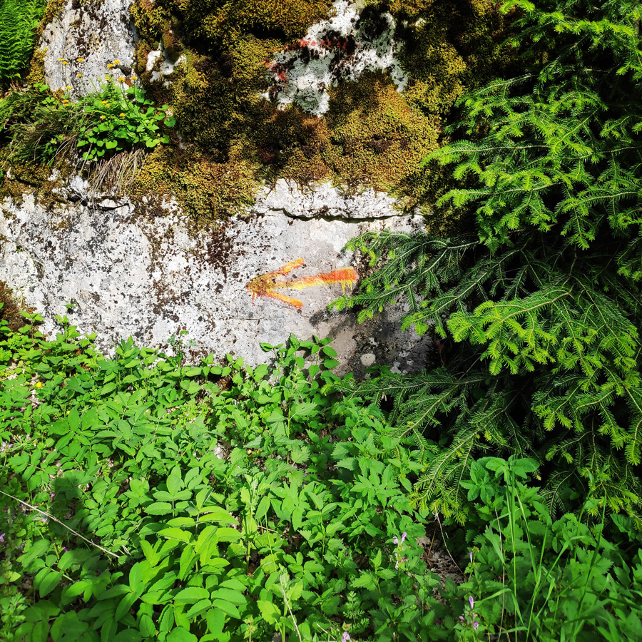 Mount_Tymfi_Pindos_North_Side_Thru-Hike_Part1_Konitsa_Moni_Stomiou_Sadi_Mygas_165443_653