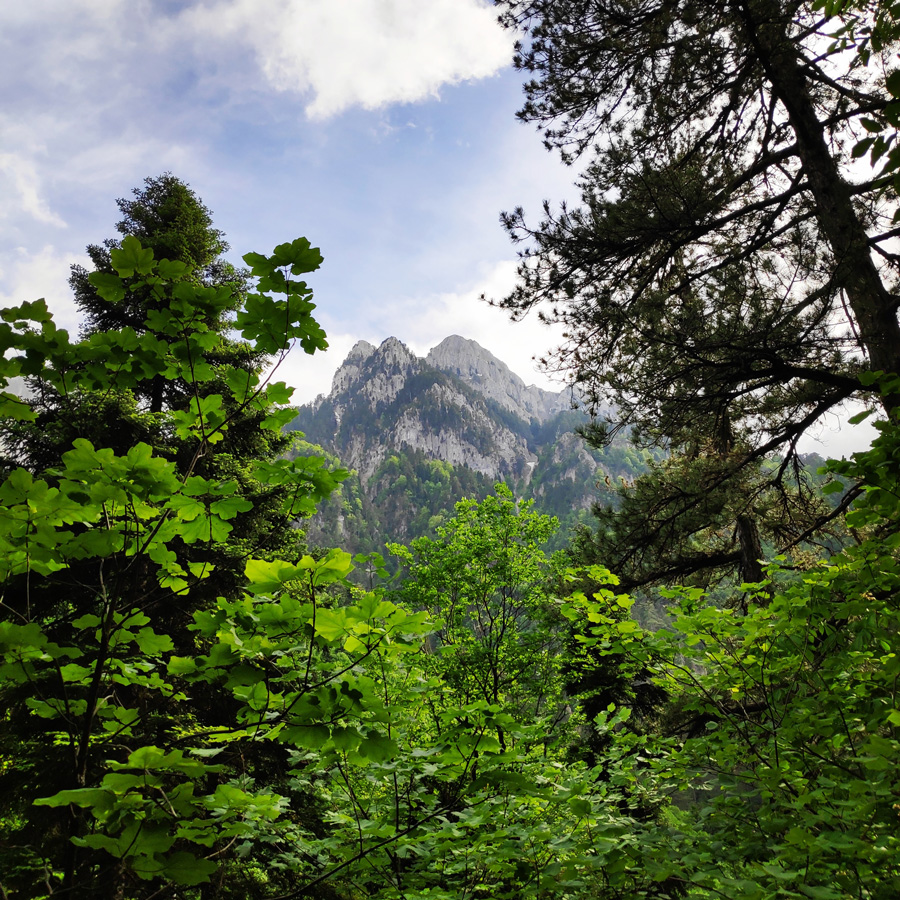 Mount_Tymfi_Pindos_North_Side_Thru-Hike_Part1_Konitsa_Moni_Stomiou_Sadi_Mygas_165507_094