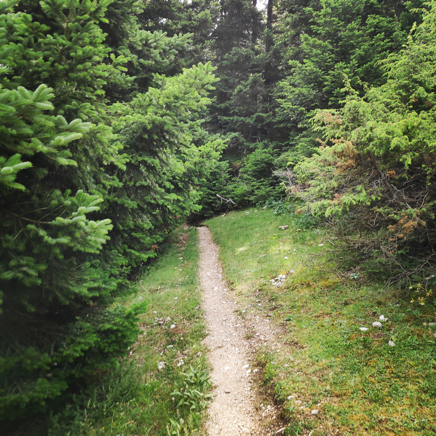 Hiking_in_Tzoumerka_Athamanika_Pramanta_Kefalovriso_Waterafall_Melissourgoi_184629_858