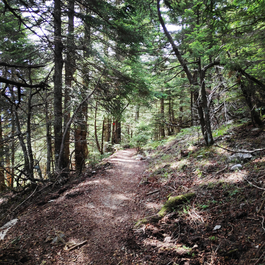 Hiking_in_Tzoumerka_Athamanika_Pramanta_Kefalovriso_Waterafall_Melissourgoi_184709_330