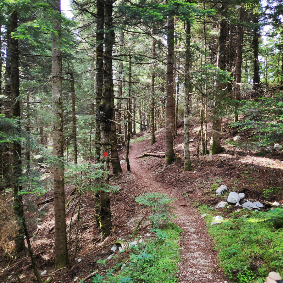 Hiking_in_Tzoumerka_Athamanika_Pramanta_Kefalovriso_Waterafall_Melissourgoi_184834_647