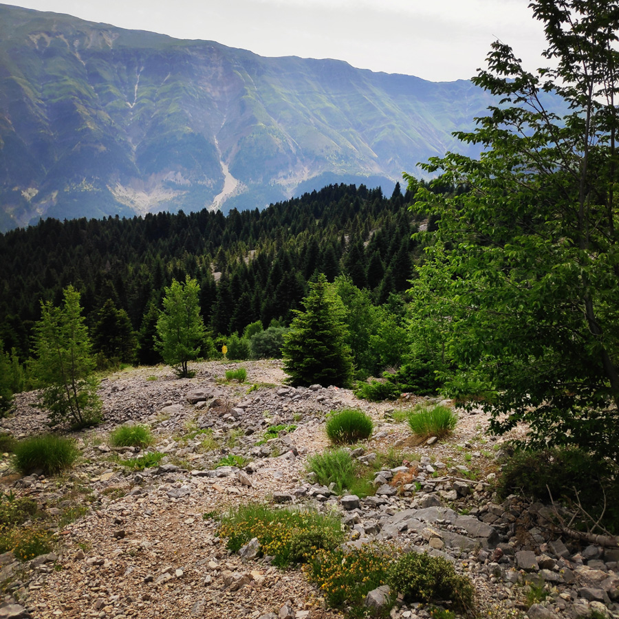 Hiking_in_Tzoumerka_Athamanika_Pramanta_Kefalovriso_Waterafall_Melissourgoi_191310_343