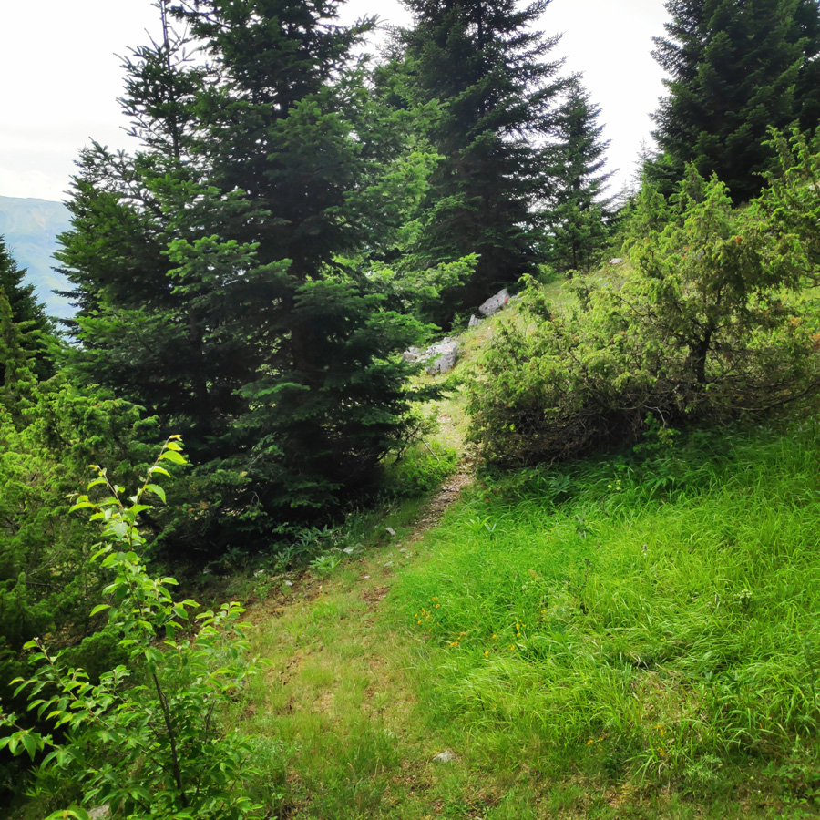 Hiking_in_Tzoumerka_Athamanika_Pramanta_Kefalovriso_Waterafall_Melissourgoi_191404_307