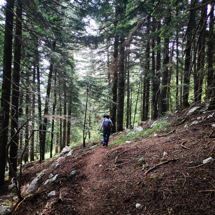 Hiking_in_Tzoumerka_Athamanika_Pramanta_Kefalovriso_Waterafall_Melissourgoi_191800_986