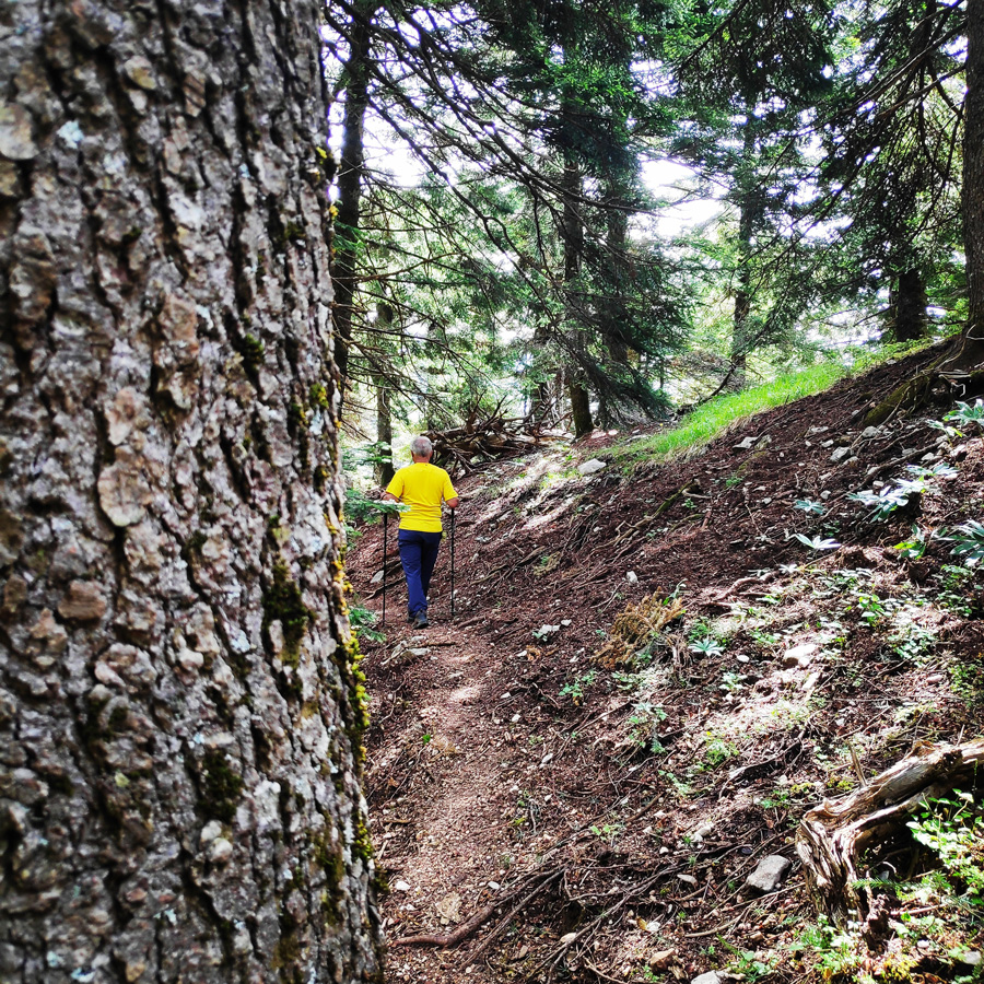 Hiking_in_Tzoumerka_Athamanika_Pramanta_Kefalovriso_Waterafall_Melissourgoi_191826_776
