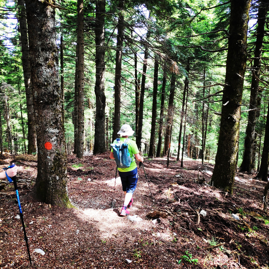 Hiking_in_Tzoumerka_Athamanika_Pramanta_Kefalovriso_Waterafall_Melissourgoi_191903_250