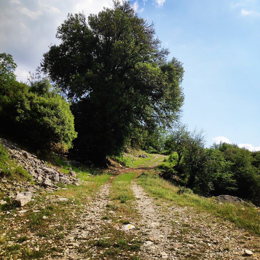 Hiking_in_Tzoumerka_Athamanika_Waterafalls_064812_494