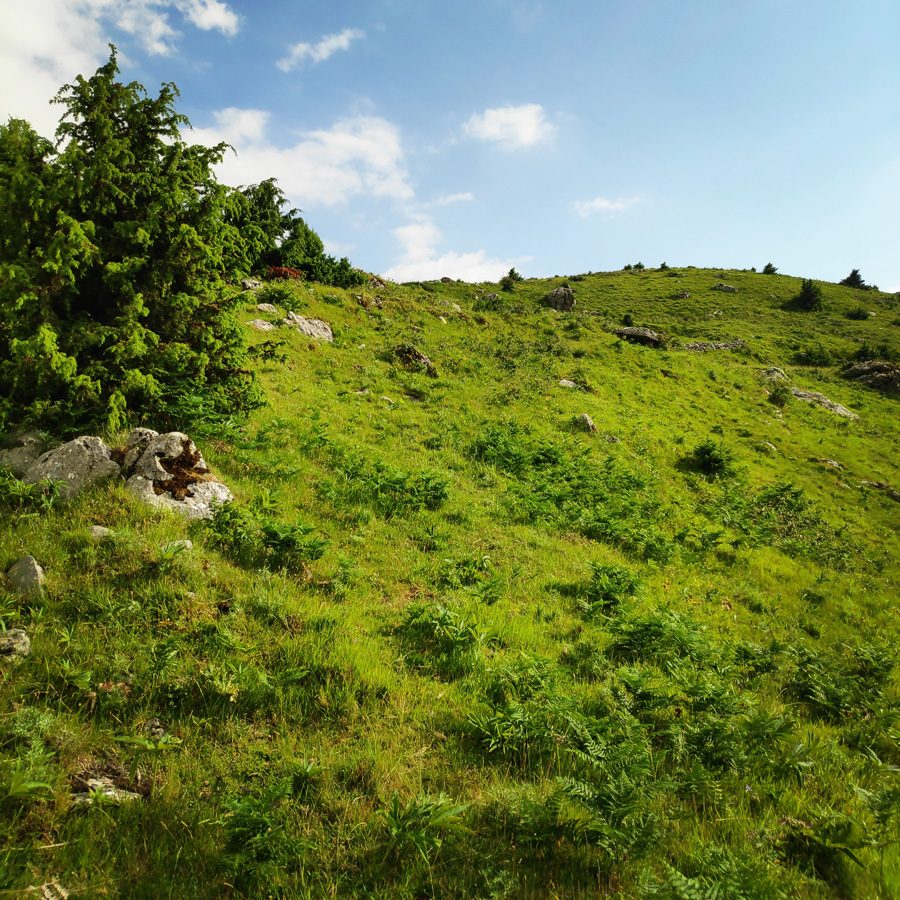 Hiking_in_Tzoumerka_Athamanika_Waterafalls_070019_289