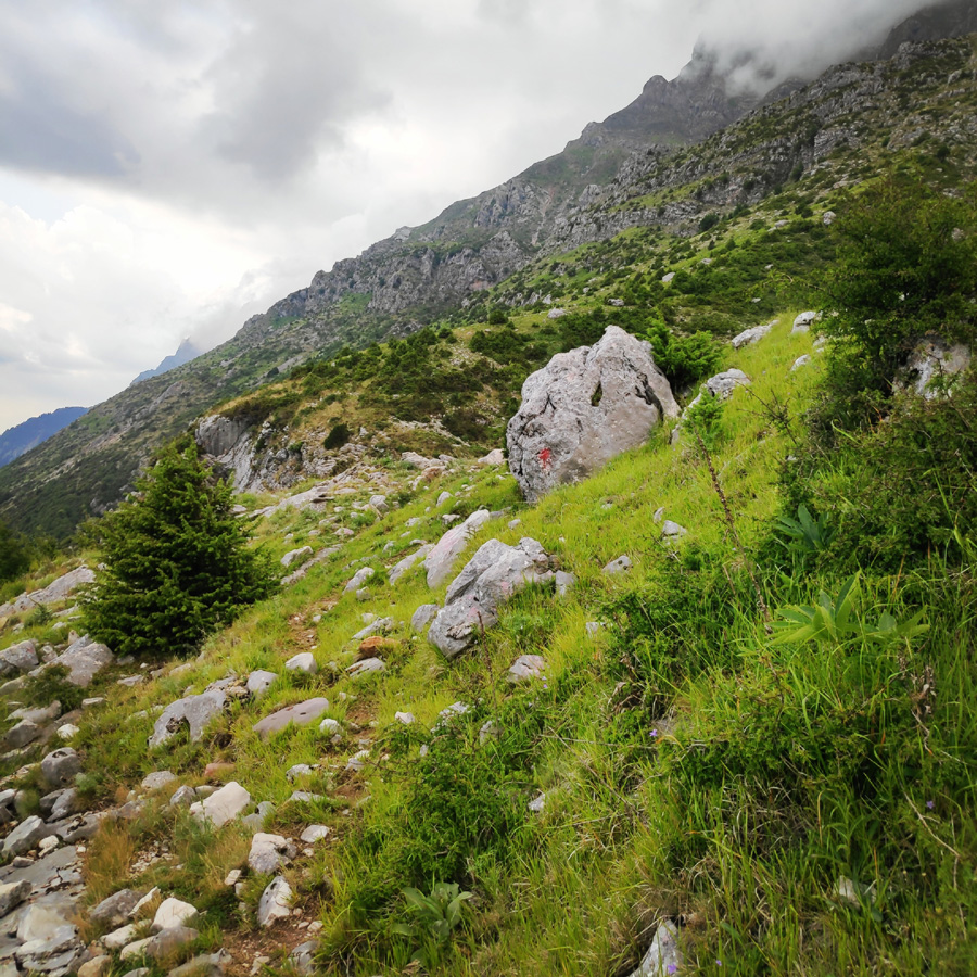 Hiking_in_Tzoumerka_Athamanika_Waterafalls_070605_359