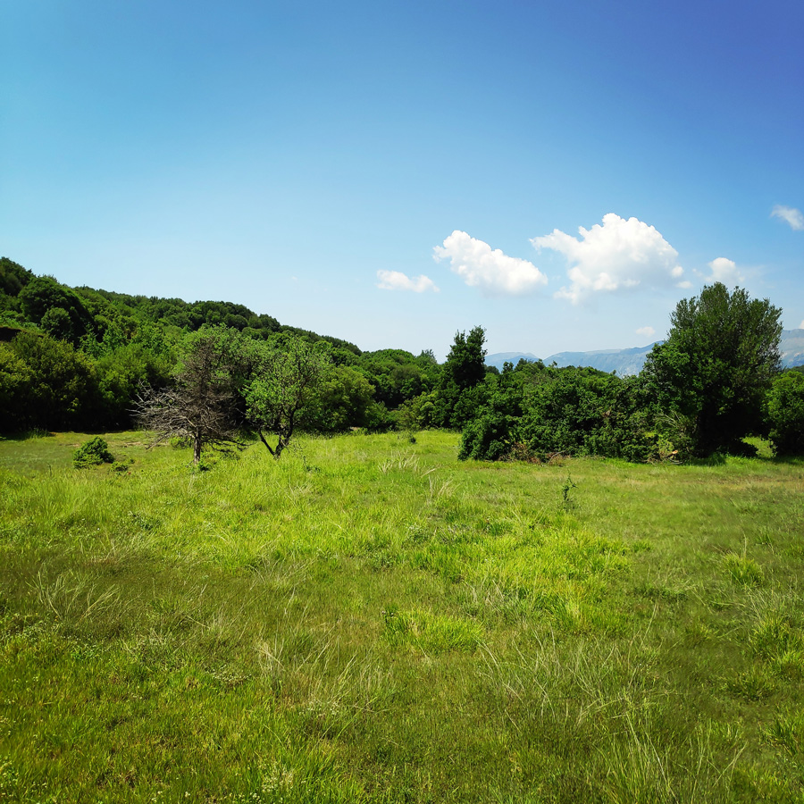 Hiking_in_Tzoumerka_Athamanika_Waterafalls_072417_718