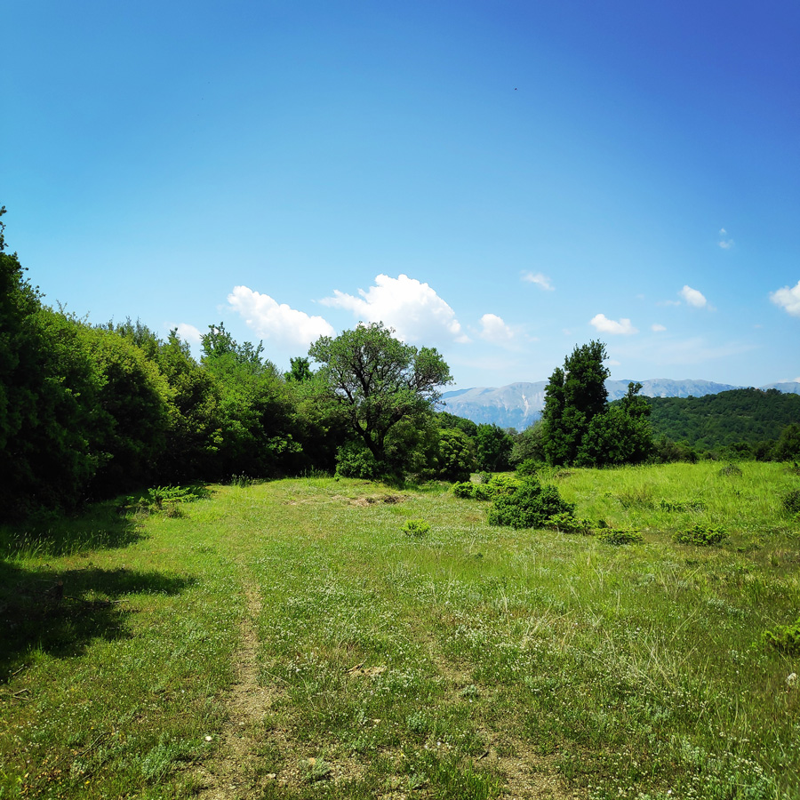 Hiking_in_Tzoumerka_Athamanika_Waterafalls_072444_029