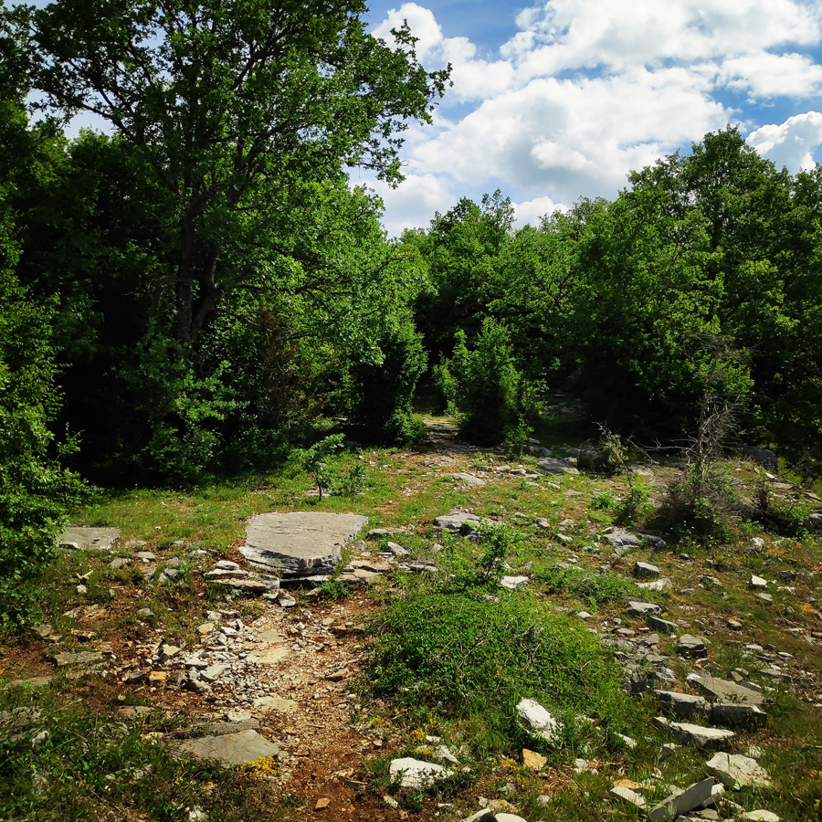 Hiking_Zagori_Villages_Bridges_Zagorochoria_212523_820