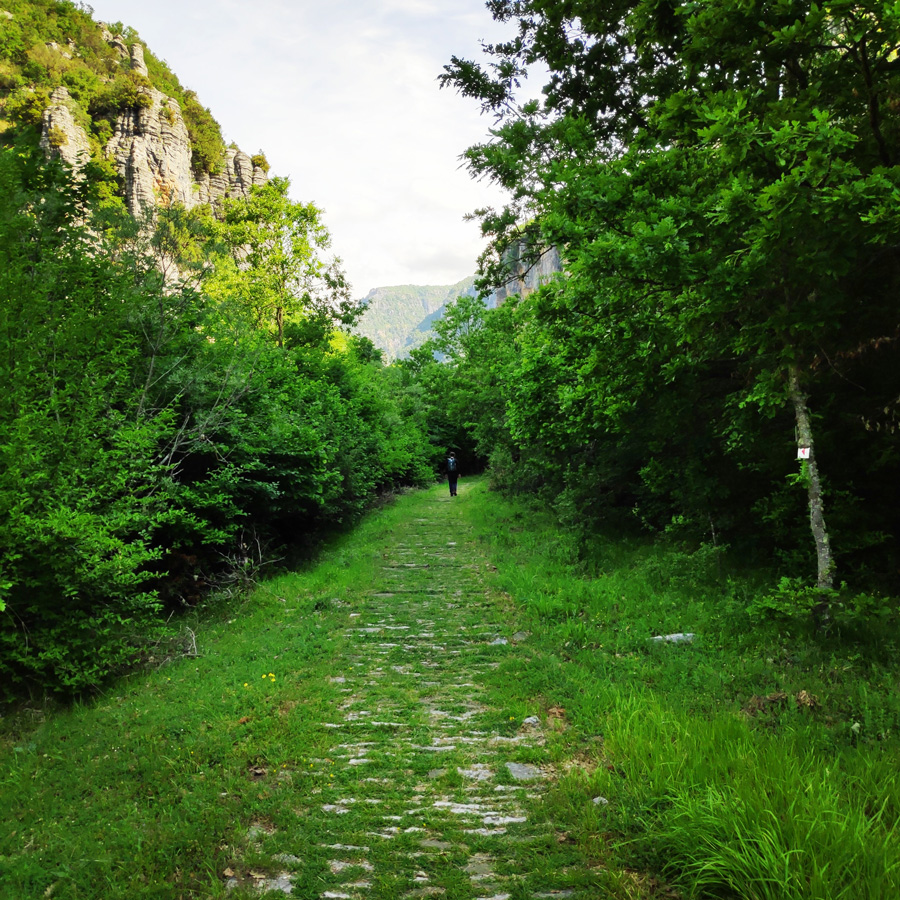 Hiking_Zagori_Villages_Bridges_Zagorochoria_212559_196