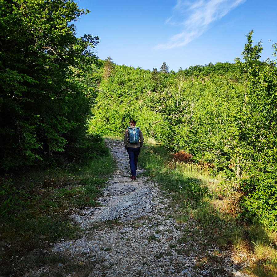 Hiking_Zagori_Villages_Bridges_Zagorochoria_212955_693