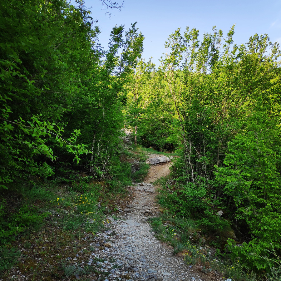 Hiking_Zagori_Villages_Bridges_Zagorochoria_213009_173