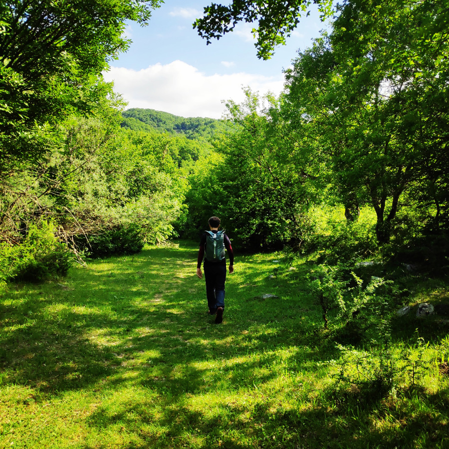 Hiking_Zagori_Villages_Bridges_Zagorochoria_213316_973