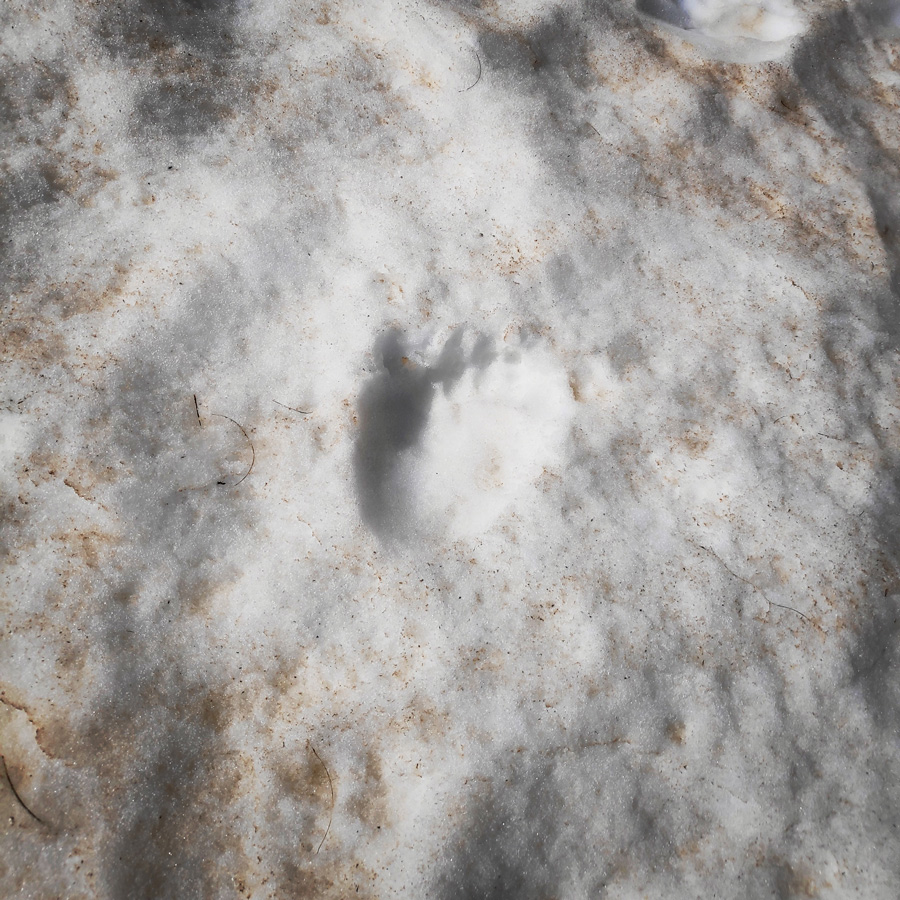 Mount_Tymfi_Pindos_North_Side_Thru-Hike_Part2_Sadi_Migas_Karteros_Pass_Astraka_Refuge_083133_129