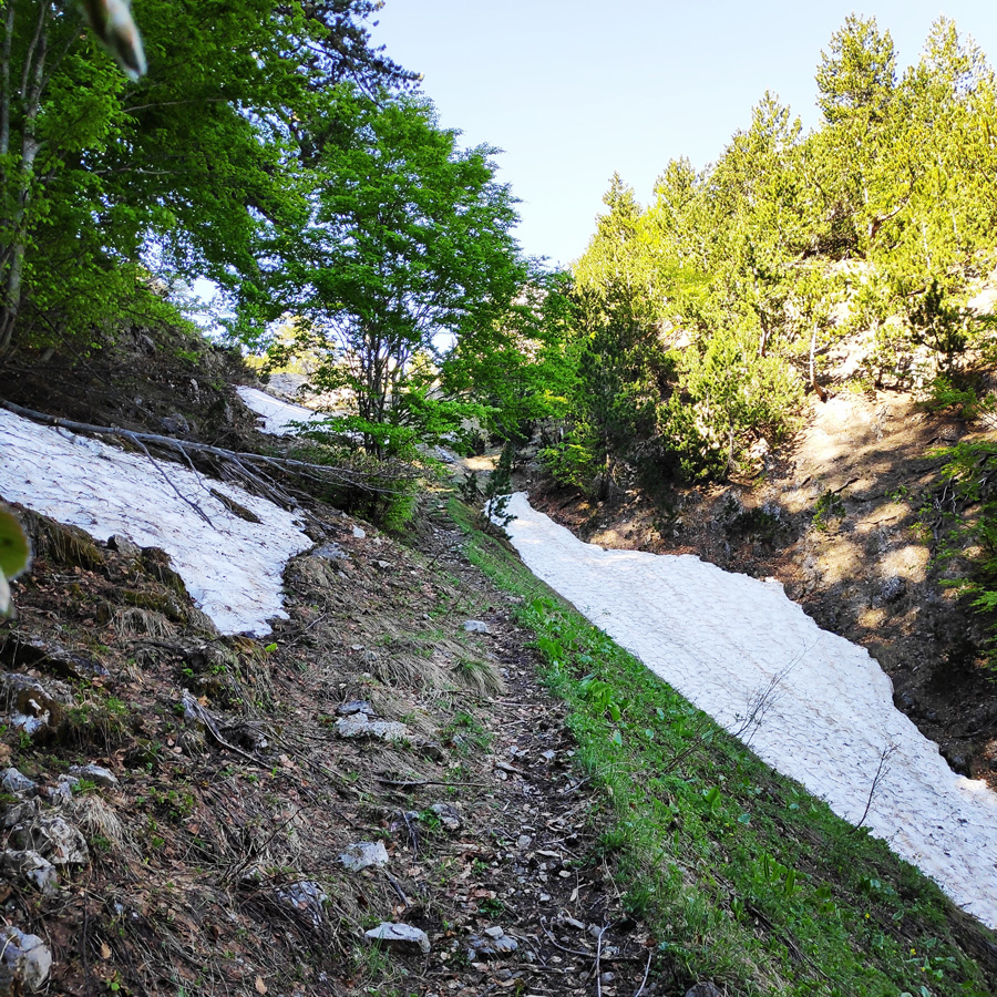 Mount_Tymfi_Pindos_North_Side_Thru-Hike_Part2_Sadi_Migas_Karteros_Pass_Astraka_Refuge_083729_776