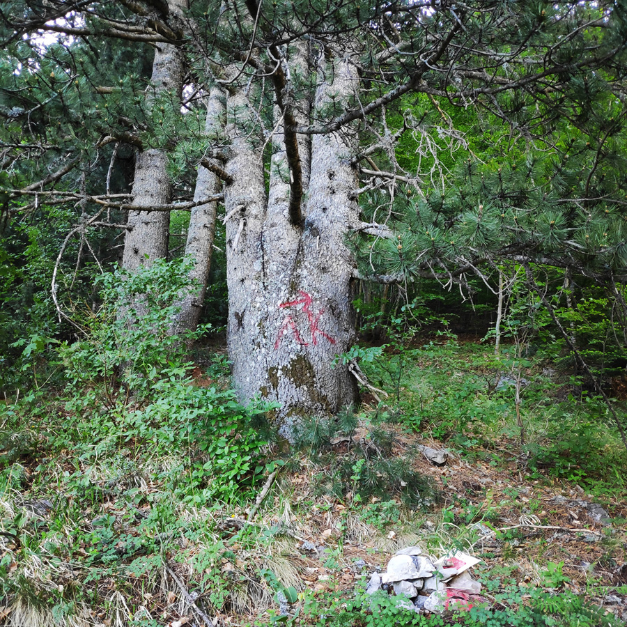 Mount_Tymfi_Pindos_North_Side_Thru-Hike_Part2_Sadi_Migas_Karteros_Pass_Astraka_Refuge_084108_010