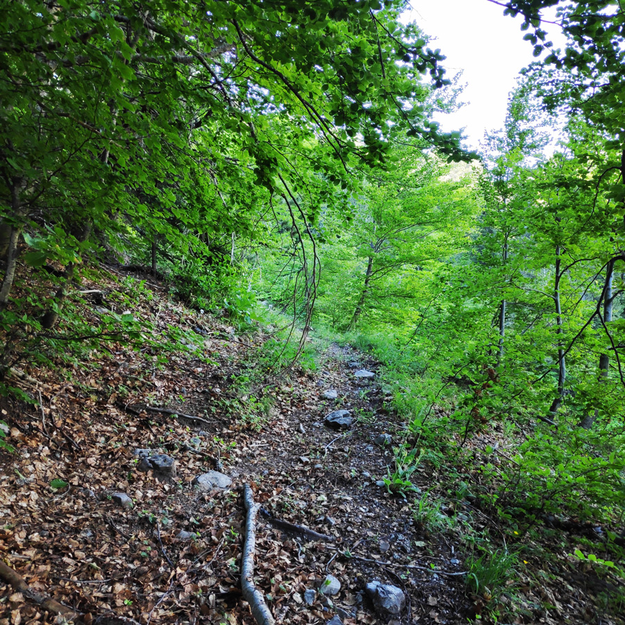Mount_Tymfi_Pindos_North_Side_Thru-Hike_Part2_Sadi_Migas_Karteros_Pass_Astraka_Refuge_084126_045