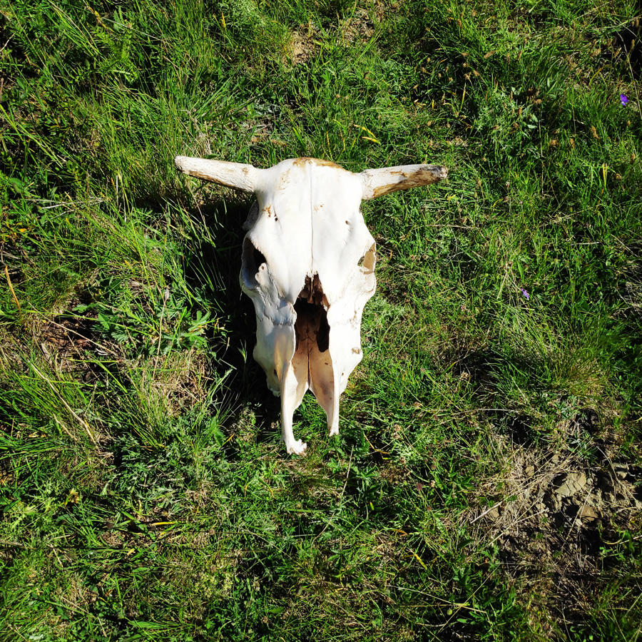 Mount_Tymfi_Pindos_North_Side_Thru-Hike_Part3_Astraka_Refuge_Davalista_Konitsa_121222_190