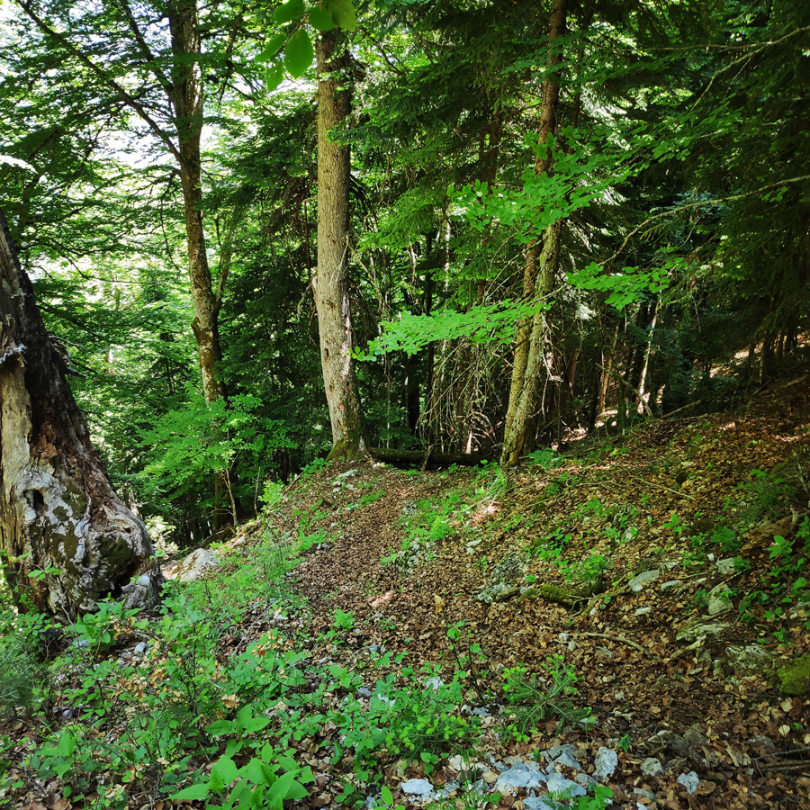 Mount_Tymfi_Pindos_North_Side_Thru-Hike_Part3_Astraka_Refuge_Davalista_Konitsa_122041_199
