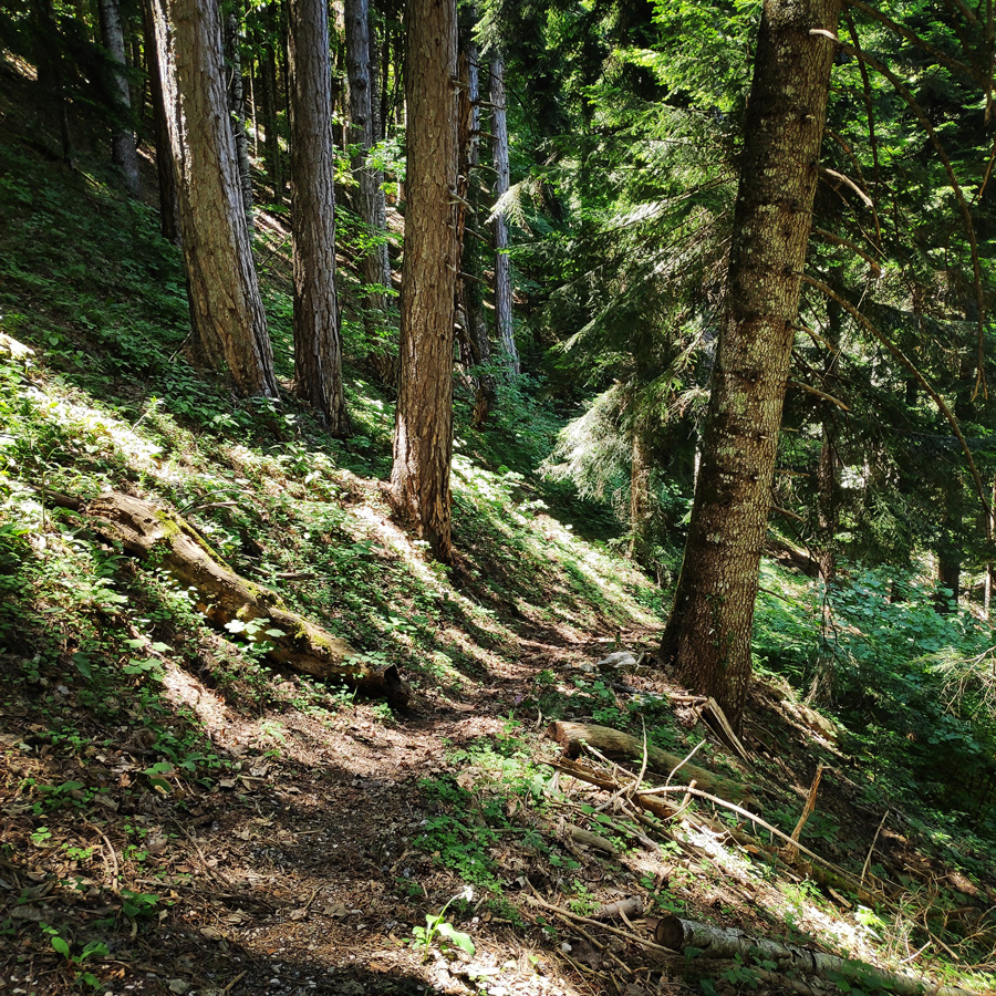 Mount_Tymfi_Pindos_North_Side_Thru-Hike_Part3_Astraka_Refuge_Davalista_Konitsa_122055_597