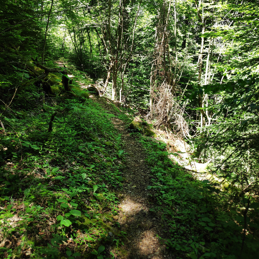 Mount_Tymfi_Pindos_North_Side_Thru-Hike_Part3_Astraka_Refuge_Davalista_Konitsa_122113_275