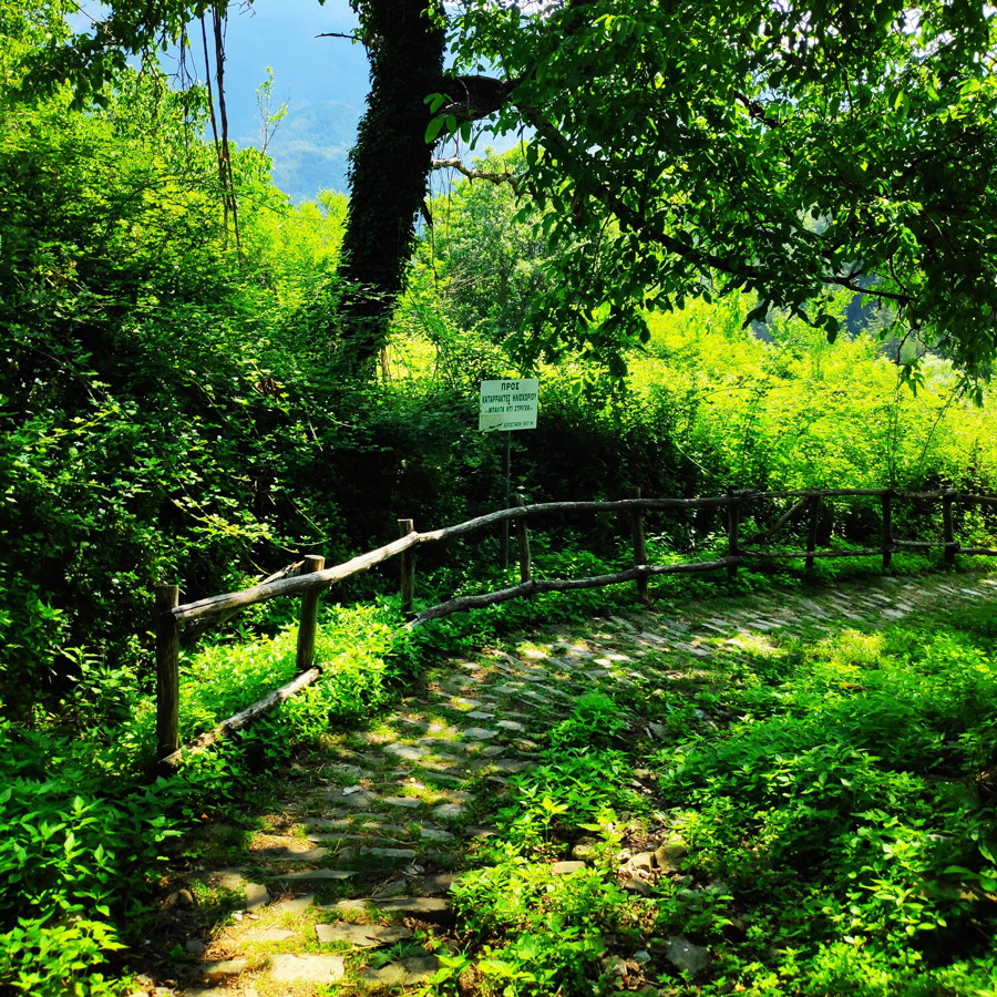 Hiking_Balta_di_Stringa_Iliochori_Tymfi_Pindos_092529_330-copy