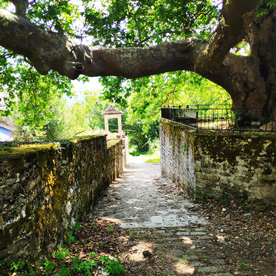 Hiking_Balta_di_Stringa_Iliochori_Tymfi_Pindos_092801_833-copy
