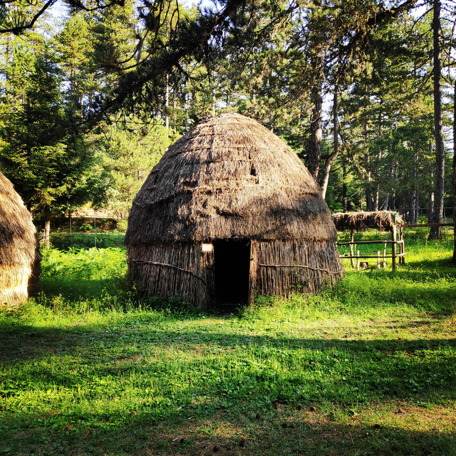 Tymfi_Zagori_Gyftokambos_Sarakatsan_141654_713