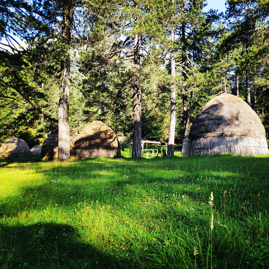 Tymfi_Zagori_Gyftokambos_Sarakatsan_141712_375