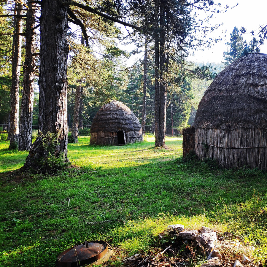 Tymfi_Zagori_Gyftokambos_Sarakatsan_142021_546