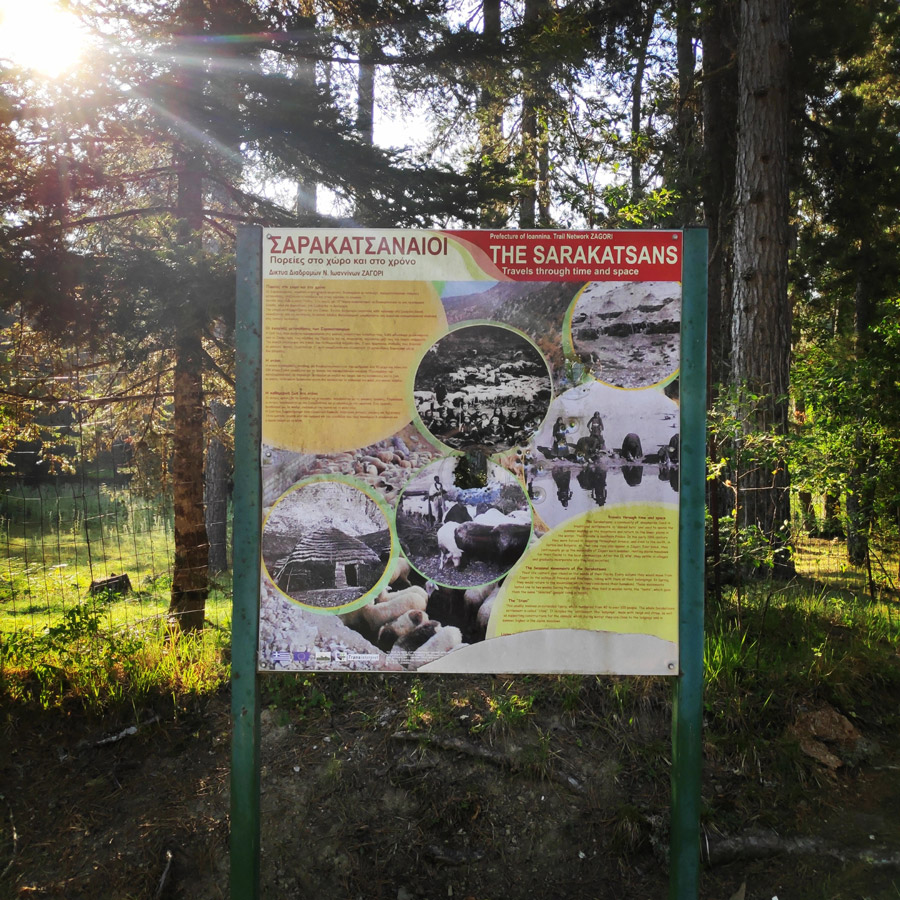 Tymfi_Zagori_Gyftokambos_Sarakatsan_142242_478