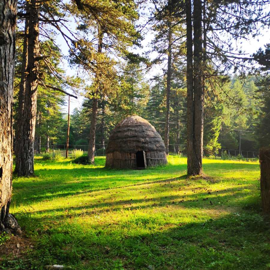 Tymfi_Zagori_Gyftokambos_Sarakatsan_142259_115