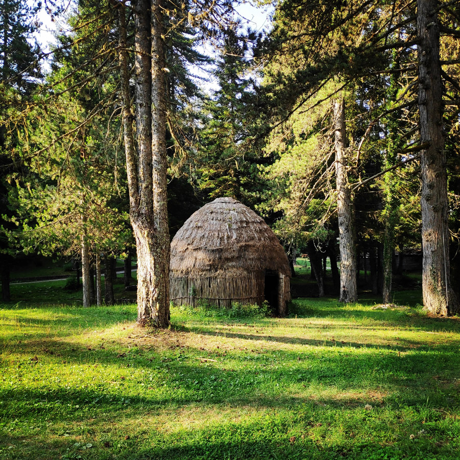 Tymfi_Zagori_Gyftokambos_Sarakatsan_142313_626