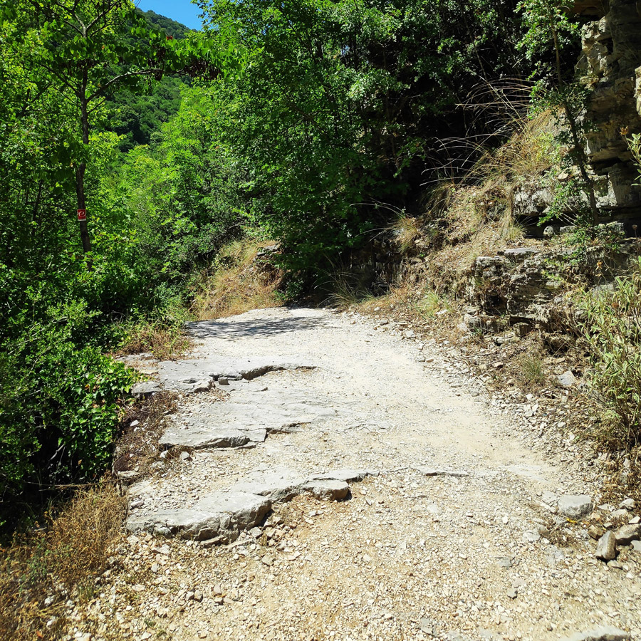 Kouiassa_Pouliana_Kipina_Monastery_185247_608